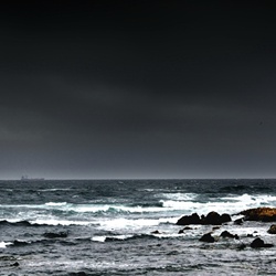 dailyPhoto6